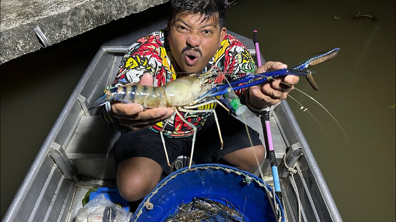 ออกงมกุ้งแม่น้ำเจ้าพระยา ￼ รอบนี้กุ้งแก่เยอะมาก !! 