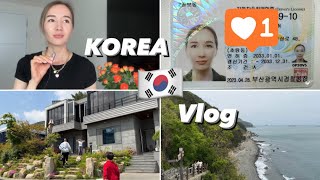 🇰🇷Получила корейские права 🚘🥳 Концерт Нурлана Сабурова. Поездка в Ульсан