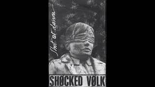 Shocked Volk - The Deserter