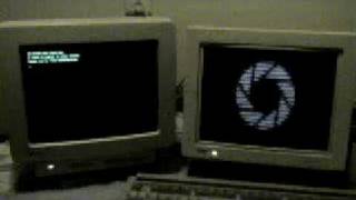 8080 Still Alive Take 2