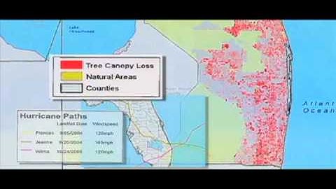 SustainableWPB - Tree Canopy Study.mp4