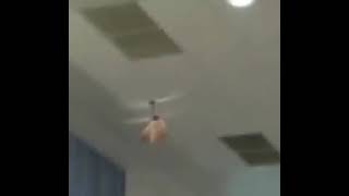 dildo helicopter