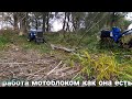 ЗАГОТОВКА ДРОВ ТЯЖЁЛЫМ ДИЗЕЛЬНЫМ МОТОБЛОКОМ KENTAVR