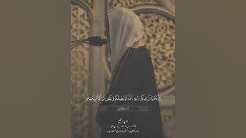 الشيخ /أحمد بن طالب سورة الحجرات آيه{5-8}