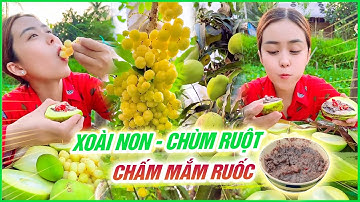 Xoài non chùm ruột chấm mắm ruốc chúc cả nhà xem video buổi tối vui nhé | Huyền Phi Official