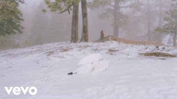 Wisp - Pandora (Official Visualizer)