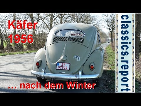 VW Käfer 1956 - \