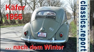 VW Beetle 1956  OvalWindow  Description and Drive