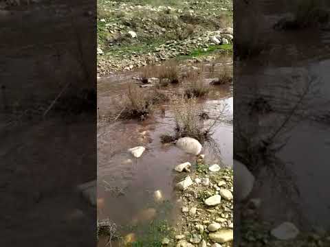 فيضان محطة مياة الشلاله شرق بشرى يشوه معالم الحياة الطبيعية في وادي الشجرة