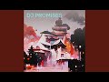 Dj promises