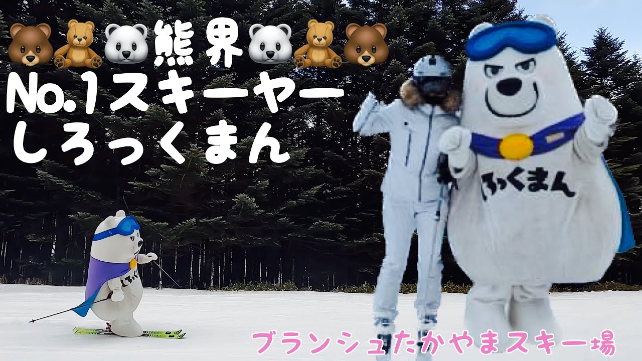 熊の世界で一番スキーがうまい人、いや熊 ブランシュたかやまスキー