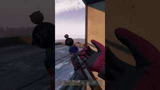 Made these COWARD roof camper LOG OUT #dayz #dayzgamers #gaming #dayzgaming #gameplay