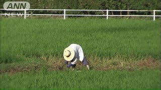 元農水官僚が語る！TPP交渉の