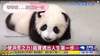 使洪荒之力!圓寶邁出人生第一步 八大民生新聞 2020100919