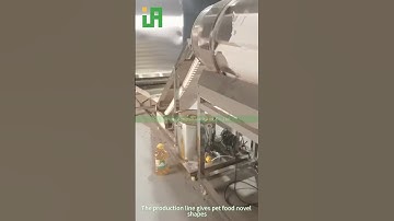 Dog food production line-Russian customer