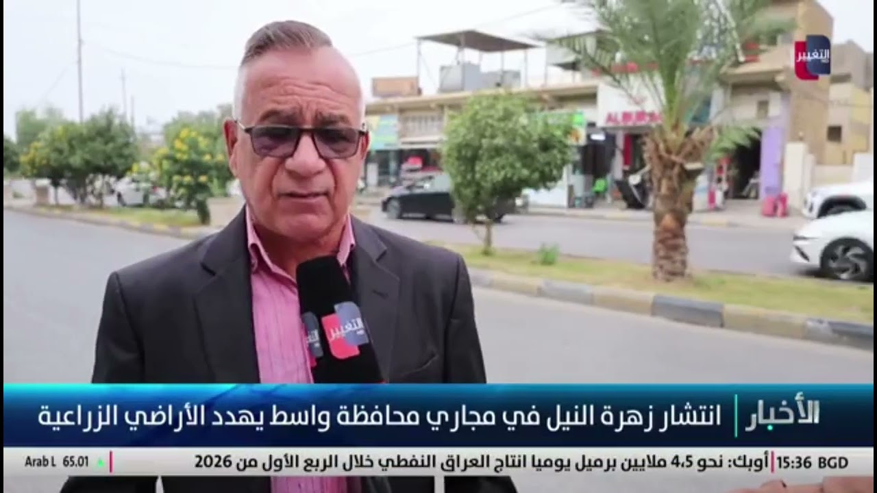 زهرة النيل تغزو نهر دجلة 