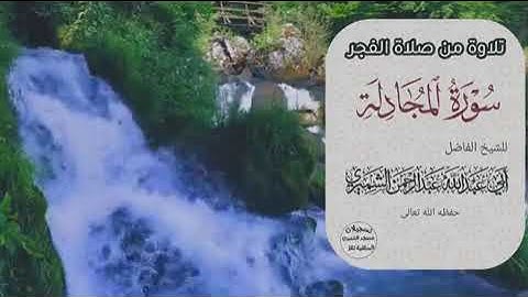 تلاوة للشيخ الفاضل عبدالرحمن الشميري حفظه الله تعالى سورة المجادلة