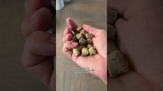 5 reason to NOT buy. #spotandtangopartner