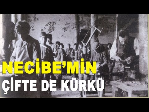 Necibe'min Çifte de Kürkü (Necibe'm) - Mustafa Aksu