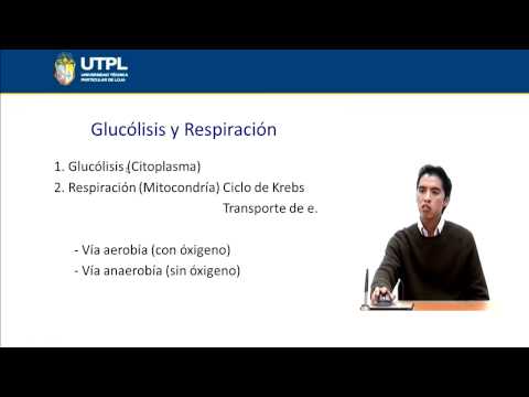 Vídeo: Biología De Altas Dosis únicas De IORT: RBE, 5 R's Y Otros Aspectos Biológicos