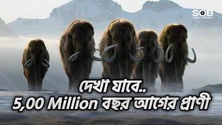 4.5B Y পৃথিবীতে প্রাণের অস্তিত্ব | Life On Our Planet | Netflix documentary