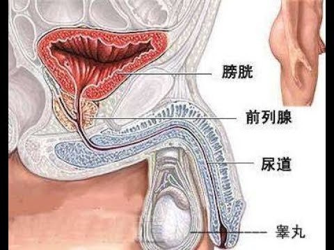 按摩膀胱經能治愈13種病，你知道嗎？