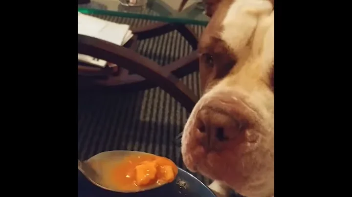 Hayes loves soup!