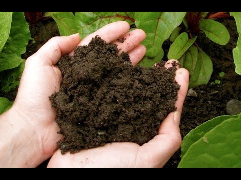 Video: Ano ang biodynamic compost?