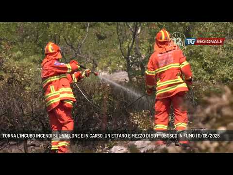 TORNA L'INCUBO INCENDI SUL VALLONE E IN CARSO: UN ETTARO E MEZZO DI SOTTOBOSCO IN FUMO | 11/08/2025