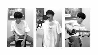 The Las - There She Goes (Acoustic Cover)