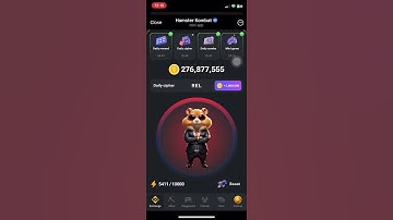 2 August Cipher Code | Hamster Kombat #hamsterkombat #hamsterkombatcipher #cipher