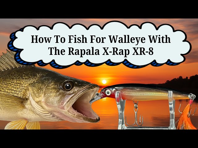 best lure walleye rapala pro fishing Jointed Minnow Lure, Jointed Hard Bait, Bass Pike and Lure, Wide Swimming Action, 3-1/2", Gold : Fishing Diving Lures : Sports & Outdoors the wounded minnow action continues to be irresistible to trout 5 Walleye Lures You Can