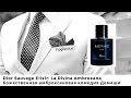 Dior Sauvage Elixir: La Divina Ambroxana - Божественная амброксановая комедия Демаши