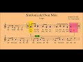 Sinfonía Del Nuevo Mundo Largo A Dvorak Flauta Playback C Instrument Sinfonía Del Nuevo Mundo Largo A Dvorak Flauta Playback C Instrument