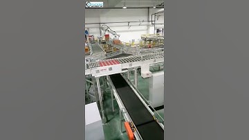 Automatic carton box transition customized conveyor system for carton box palletizing machine