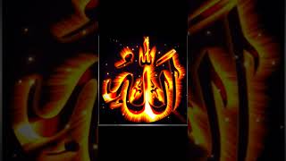 islamic history #hijabi #live #love #viralvideo #fireworks #lifeisbutadream