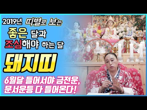 [전라도점집][신점잘보는곳] 2019년 띠별로 보는 좋은 달과 조심해야 하는 달_돼지띠,6월달 들어서야 금전운,문서운등 다 들어온다!