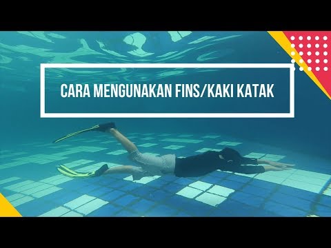 Video: Cara Memanggang Kaki Katak Dalam Bahasa Korea