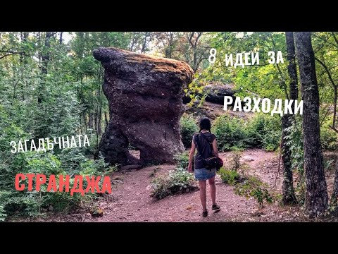 Видео: Бръшляните имат ли ранно действие?