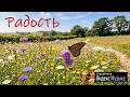 Радость. Караоке. Песни Павловых. Христианская песня со словами #караоке #христианскиепесни