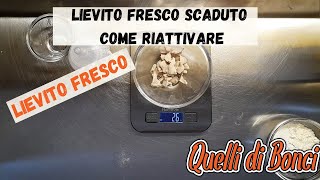 Lievito di birra fresco scaduto come riattivarlo, pochi e semplici passaggi per rimanere senza