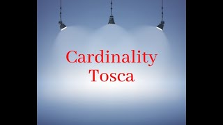 Master Tosca Cardinality with THIS Secret Technique | best software training institute in hyderabad screenshot 4