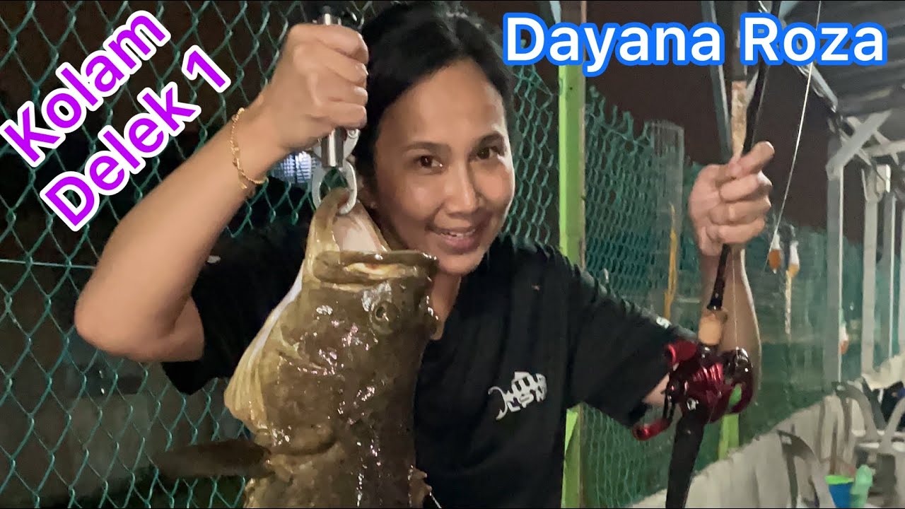 Dayana Roza berjaya menewaskan the tiger di KOLAM DELEK 1 #daiwa #salamadura #expertgraphite