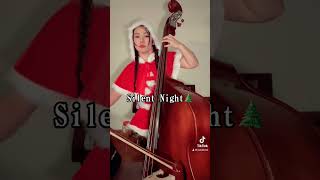 🎄Silent Night 🎄 #christmas #christmassongs #silentnight
