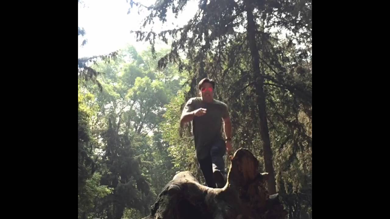 Juan Carlos Garcia - Mosca Que Voy Por Ti