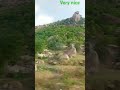 #trending #nature#naturephotograpy #lovenatural #very nice#travelvlog #