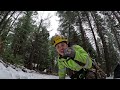 Topping A Dead Tree In The Snow