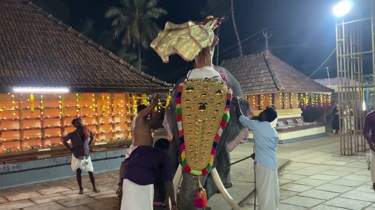 Narasimha Swamy Temple മാങ്ങാനം ഉത്സവം ❤️‍🔥2026 കൊടുമൺ Sivan🐘❤️‍🔥❤️Day 3