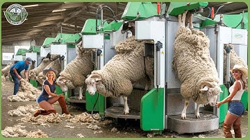 How Farmers Make Millions of Dollars With These Modern Machines   Ingenious Farm Inventions ▶2