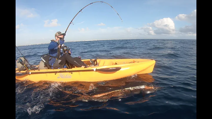 First Sailfish EVER and from a Kayak in South Florida